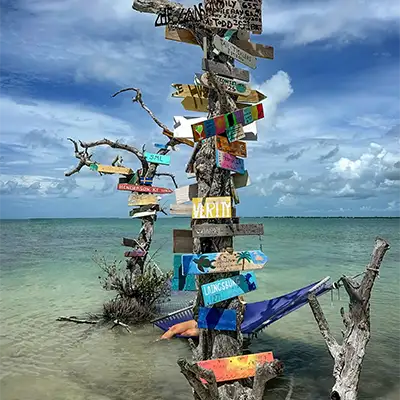 Signs on mangroves at Picnic Island